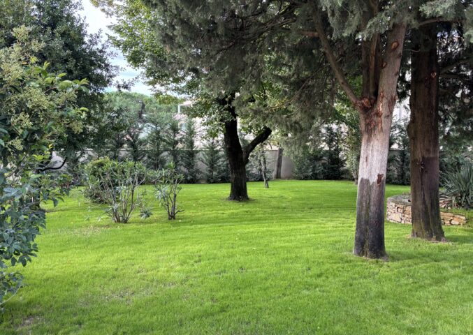 Investir dans l'immobilier en Provence Alpes Côtes d'Azur avec CIFP